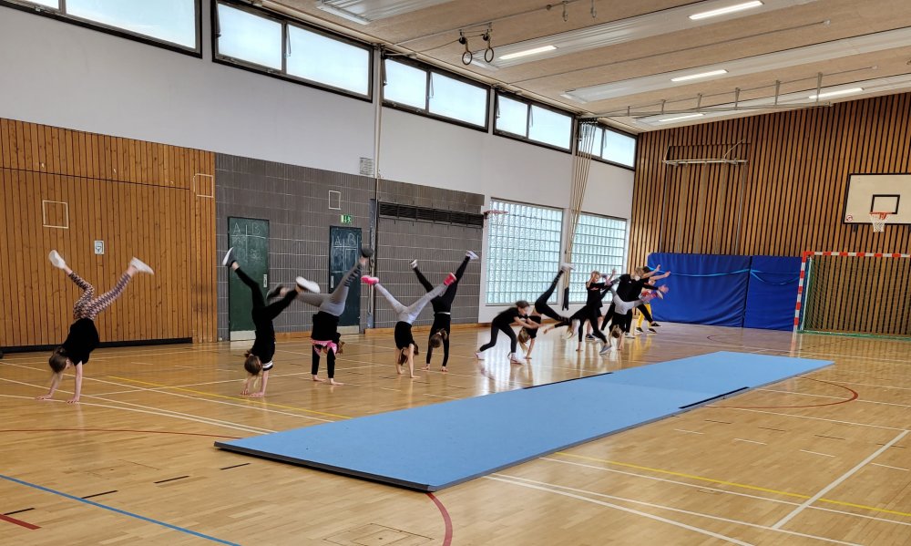 05 Leistungsturnen 04 Bild